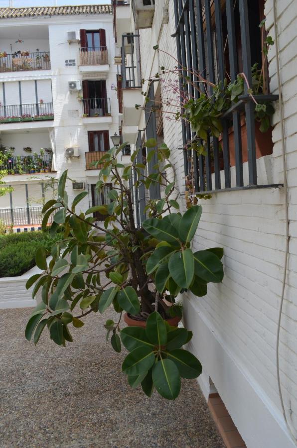 La Casa De Jose Manuel Apartman Sevilla Kültér fotó